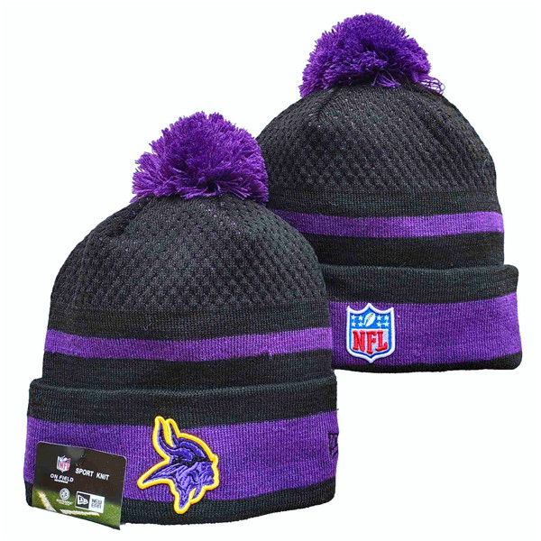 Minnesota Vikings Knit Hats 050